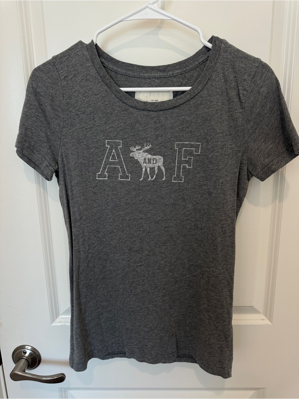Abercrombie & Fitch Y2K Tee Womens L Gray Moose A and F Graphic Shirt